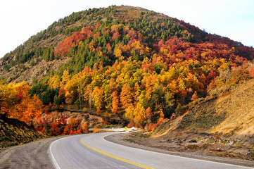 Autumn on the route of the seven lakes, San Martin De Los Andes, Neuquen, Argentina.