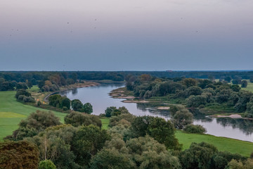 Blick auf die Elbauen bei Roßlau in Sachsen-Anhalt