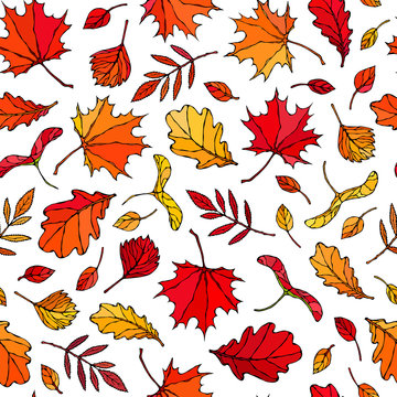 Seamless Endless Pattern of Autumn Leaves. Maple Rowan, Oak, Hawthorn, Birch. Red, Orange and Yellow. Realistic Hand Drawn High Quality Vector Illustration. Doodle Style.