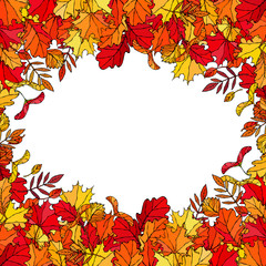 Autumn Background Layout Frame with Falling Leaves. Poster or Card. Maple Rowan, Oak, Hawthorn, Birch. Red, Orange and Yellow. Realistic Hand Drawn High Quality Vector Illustration. Doodle Style.