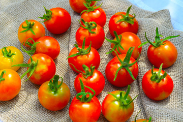 Fresh ripe red tomatoes