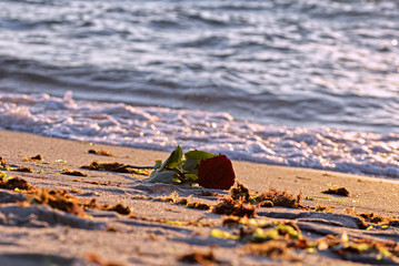 Sommer Sonne Strand Beach Sand Seebrücke Wellen 