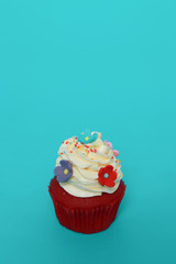 Birthday Cake On Color For Background