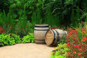 tonneaux,fûts de vin, aux pieds des vignes
