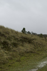 Landschaft Insel Nordsee Winter