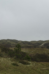 Landschaft Insel Nordsee Winter