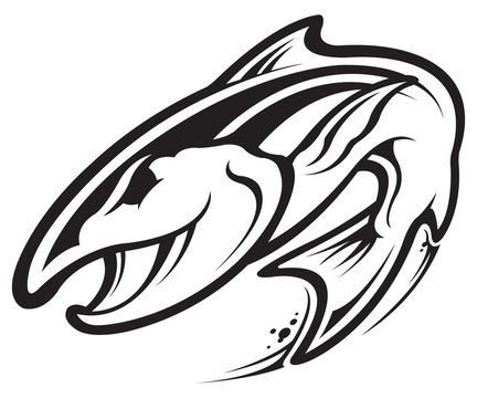 recommend clip art: Trout
