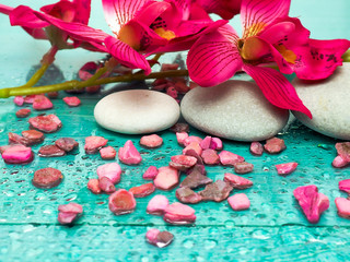 Spa pink orchid with massage stones on blue wooden background