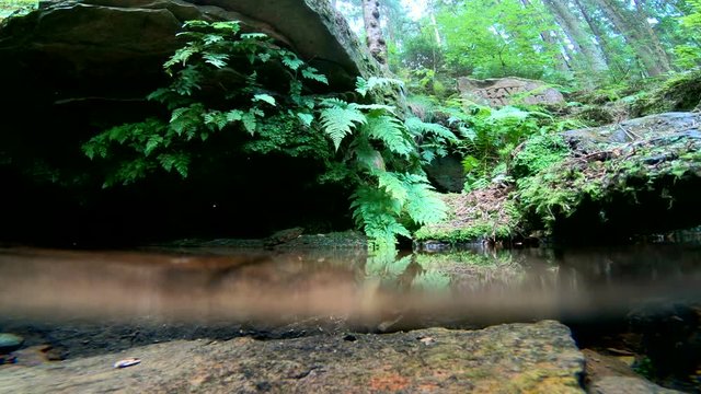 Quelle, Quellwasser, Elsavaquelle