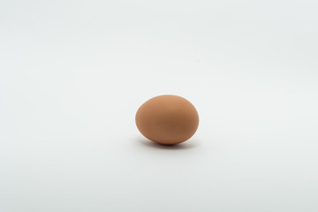 egg