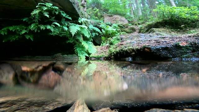 Quelle, Quellwasser, Elsavaquelle, Spessart, Wald