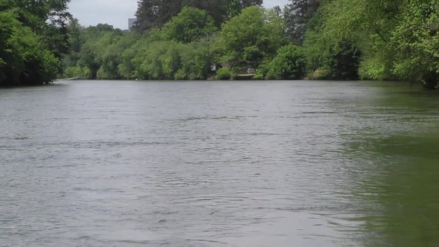 Georgia, Don White Park, A view of looking downstream on the Chattahoochee River