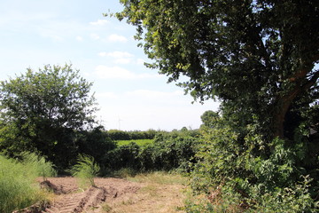 Obraz premium ländlich