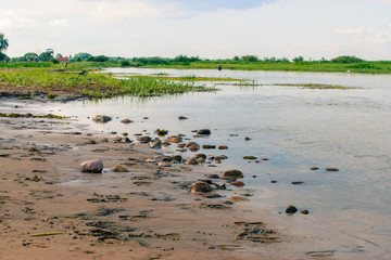 Biebrza river in Brzostow (Poland),