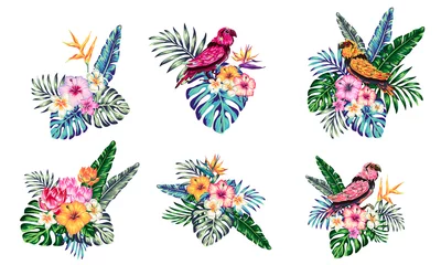 Raamstickers Vlinders tropical collection with exotic flowers