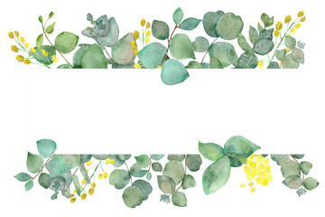 Watercolor hand painted green floral banner with silver dollar eucalyptus isolated on white...