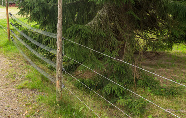 Electric fence protecting from animals