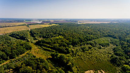 Fototapeta na wymiar Aerial view of the forest and field.