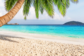 Obraz na płótnie Canvas Coconut palm trees against blue sky and beautiful beach