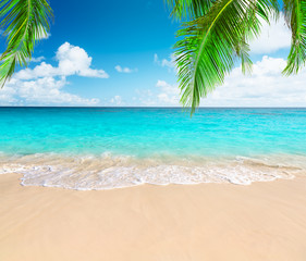 Fototapeta na wymiar Coconut palm trees against blue sky and beautiful beach