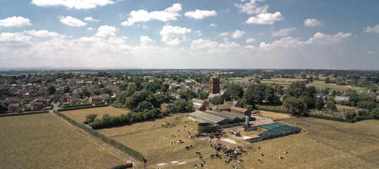 Aerial view on Tarvin, cow farm