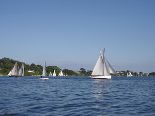 Small Cornish Village regatta hosts an annual racing event where Falmouth Working boats are a big draw for people to watch on the Point Quay, Devoran Cornwall, UK.