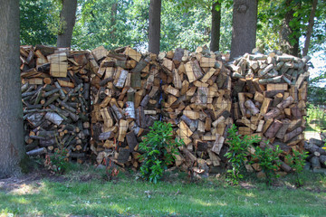 pile of wooden logs