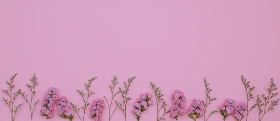 Flower Pattern Top View On Color Paper For Background