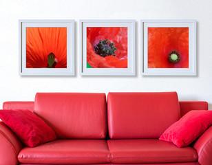 Frame with red poppy flora over the red couch - interior mockup