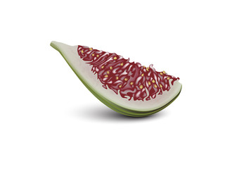 Common fig fruit realistic vector design. 3d fig cut. Sliced piece. Good for packaging