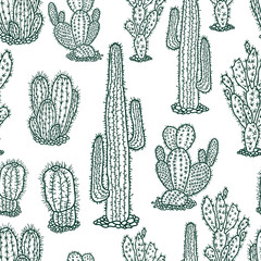 Seamless background of the drawn cactuses