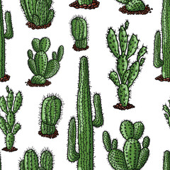 Vector pattern of the different drawn cactuses