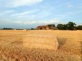 Fototapeta na wymiar Hay bales on farmland, Sarratt, Hertfordshire