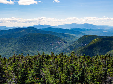 Mountain Summit Vista, Dense Forest, Mahoosuc Range, Maine