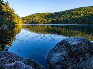 Fototapeta na wymiar Mountain Lake, Pond in Lush Forest Reflecting Blue Sky