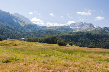 Fototapeta premium Surlej, Silvaplana, Corvatsch, Piz Corvatsch, Bergbahn, Wanderweg, Silvaplanersee, Oberengadin, Engadin, Malojawind, Wassersport, Graubünden, Alpen, Sommer, Schweiz