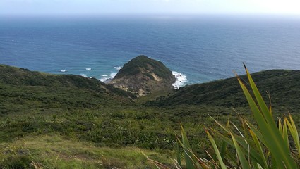 Cape Reinga III
