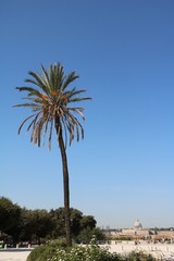 Park Villa Borghese in Rome,Italy