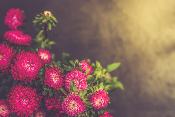 Bouquet of autumn flowers asters