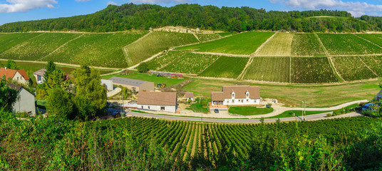 Countryside and vineyards in Chablis area