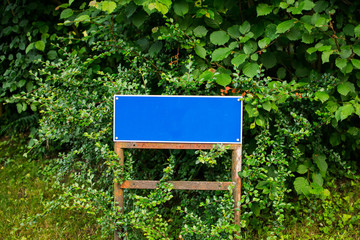 Blue empty sign for own text with green bushes background