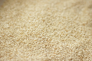 sesame seeds macro