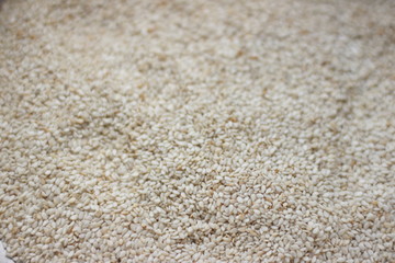 sesame seeds macro