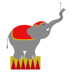 Isolated circus elephant