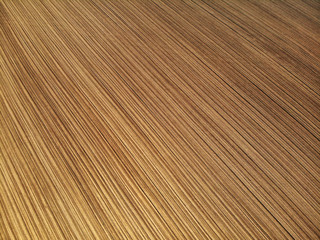 AERIAL: Flying above an empty cultivated agricultural land in sunny Slovenia.