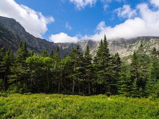 Katahdin View, Mountain Ridge in Clouds, Forest