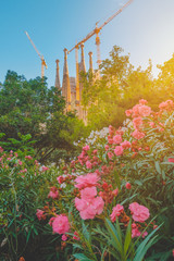 La Sagrada Familia in summer