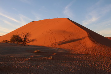 Düne in der Namibwüste