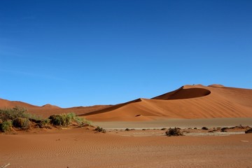 Fototapeta na wymiar Düne in der Namibwüste