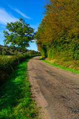 Country road in Cote dOr, Burgundy